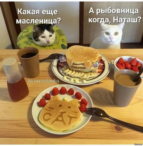 масленица блин