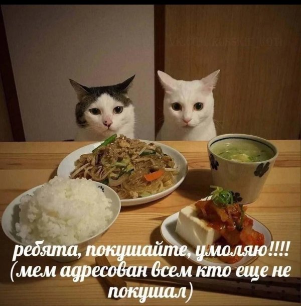 обед прикол