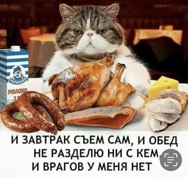 обед юмор
