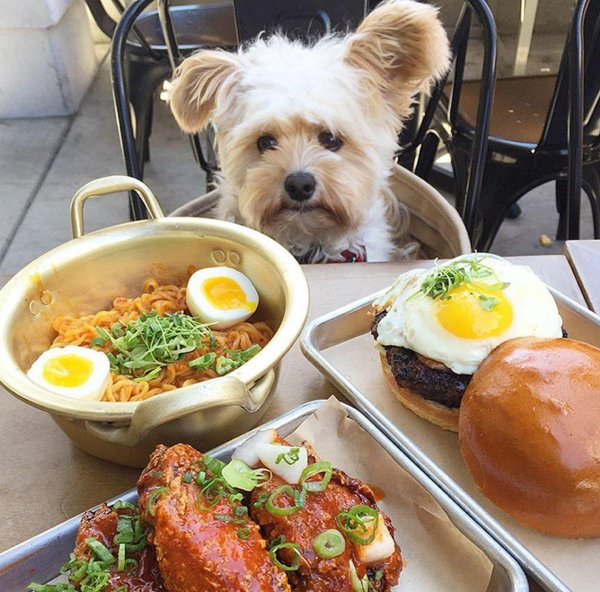 вкусного обеда