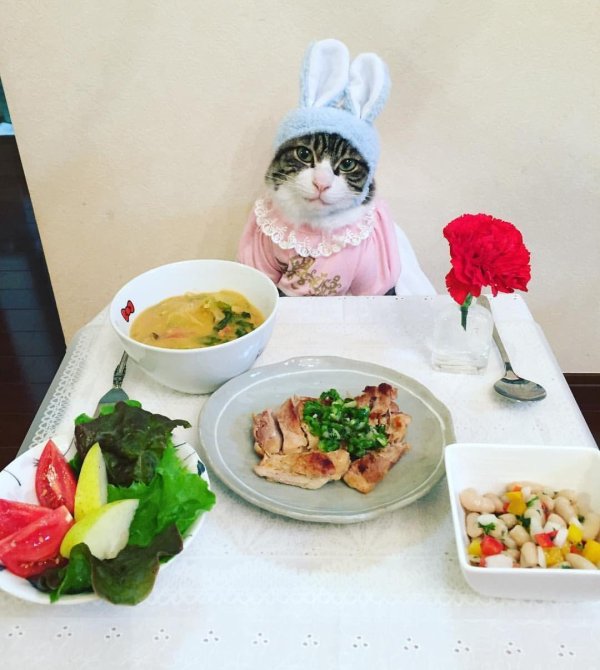 прикольный обед