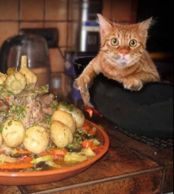 прикольный обед