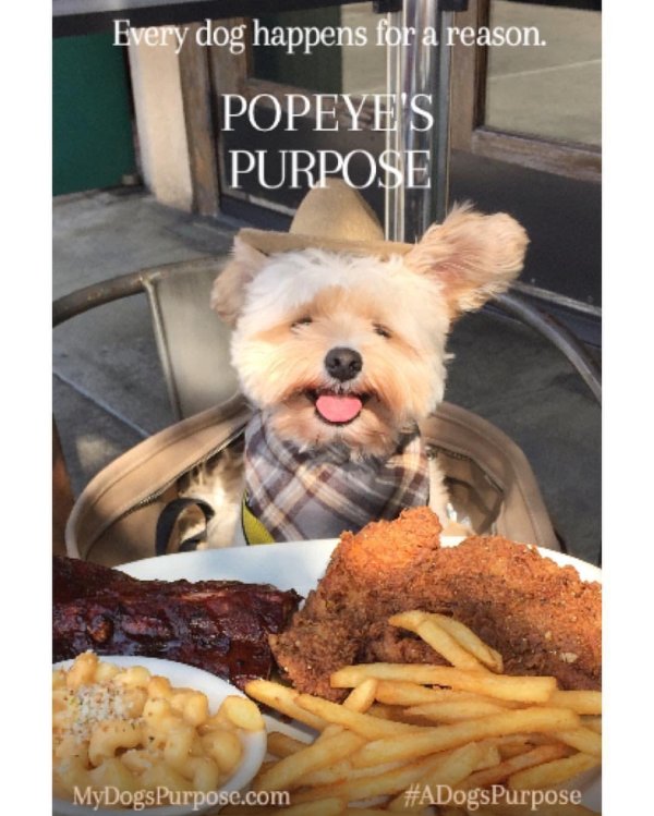 вкусного обеда