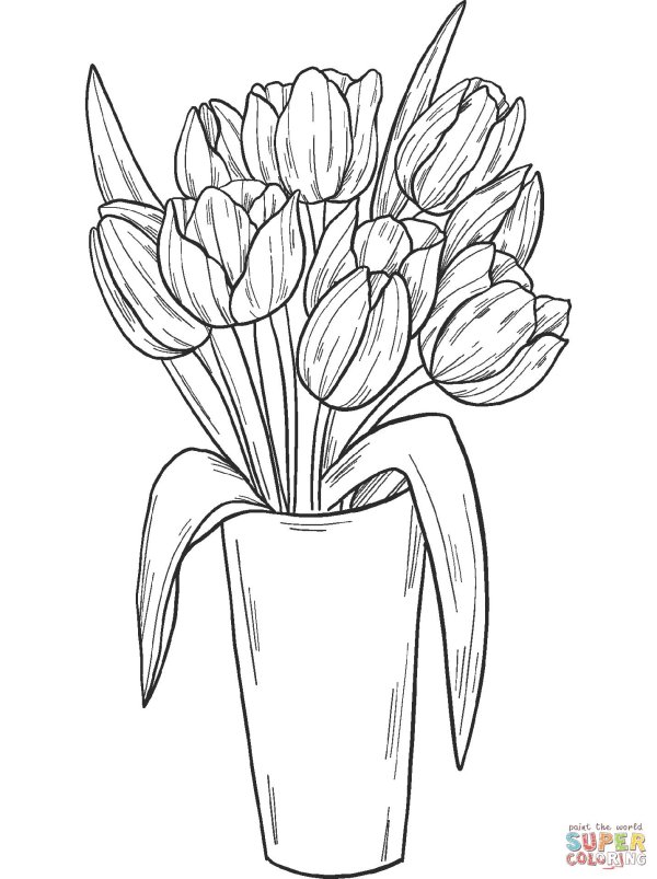 тюльпан раскраска