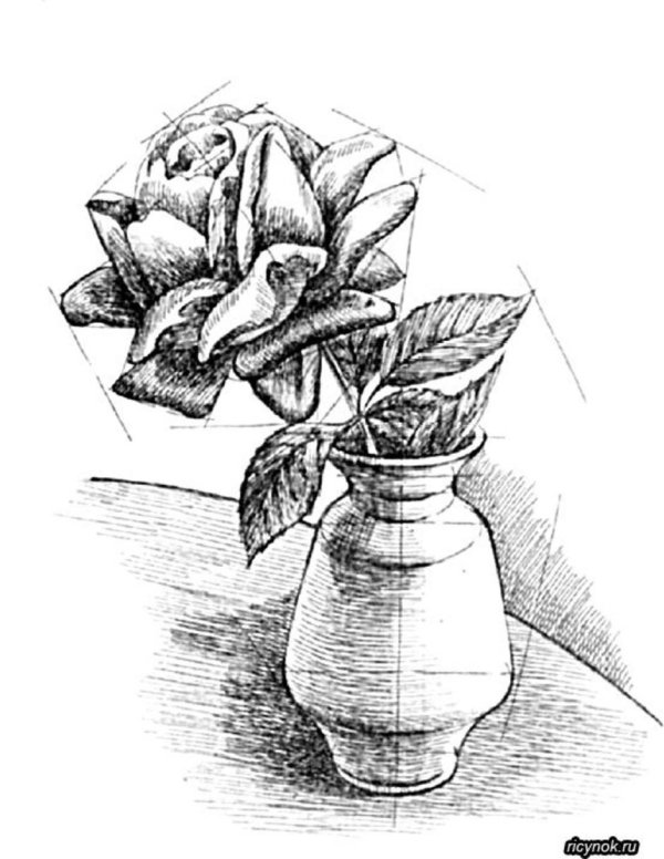 натюрморт карандашом