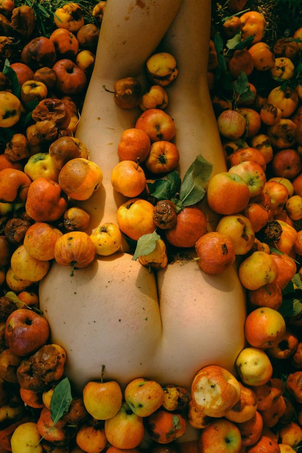 хурма королек