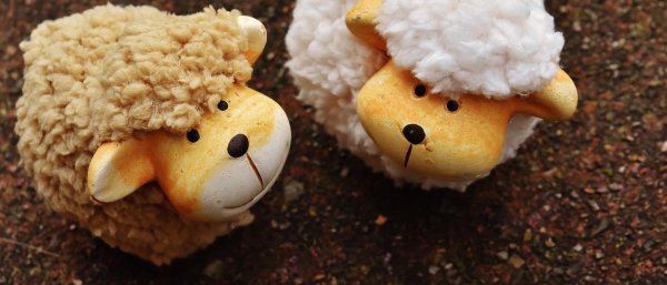 плюшевая игрушка