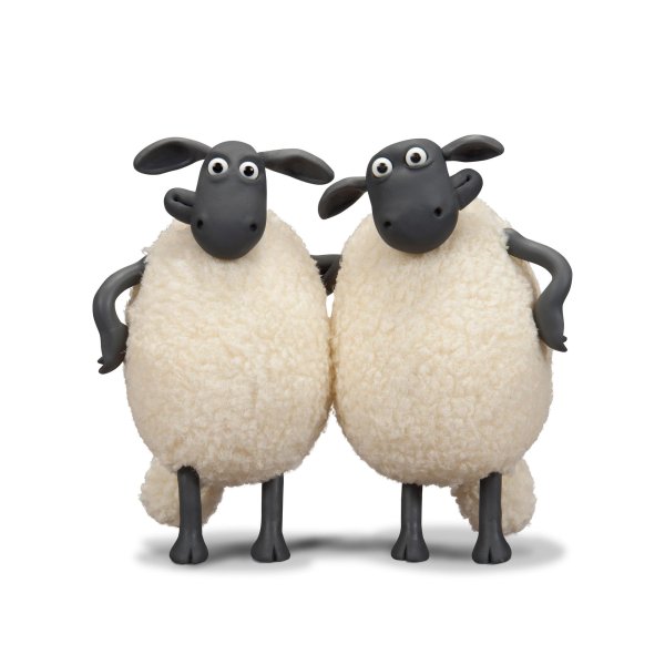 барашка шон