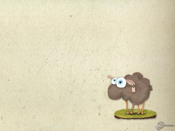 мультяшная овца