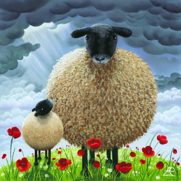 керри хилл овцы