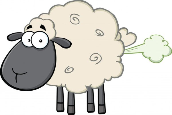 sheep cartoon