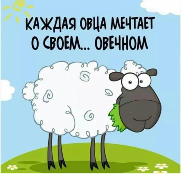 каждая овца мечтает о своем о вечном