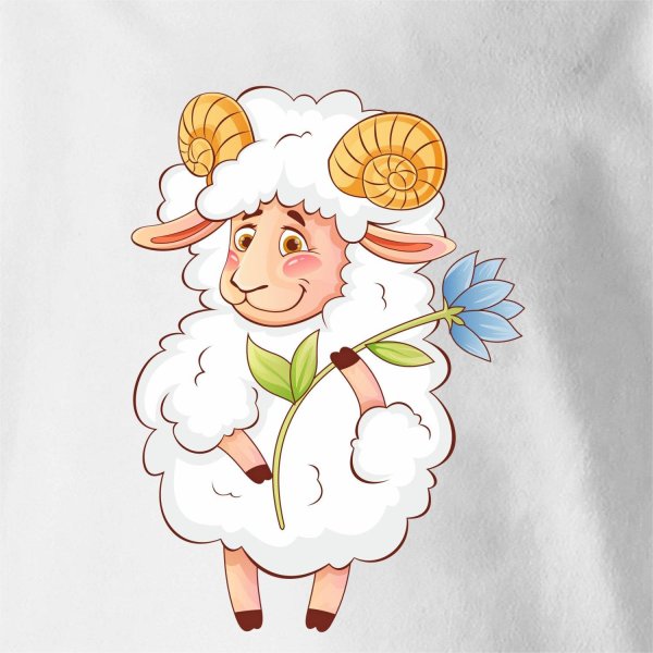 цветок барашек