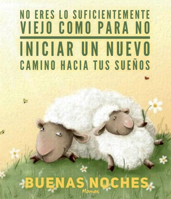 элина эллис овечки