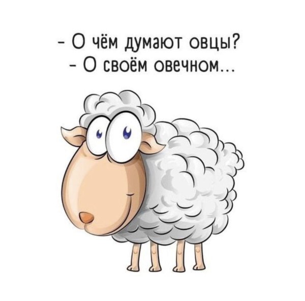 каждая овца мечтает о своем о вечном
