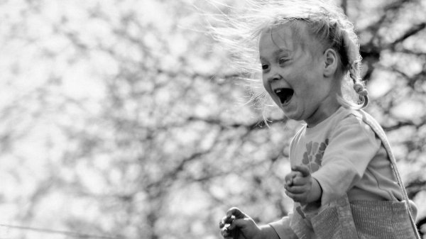 веселые высказывания