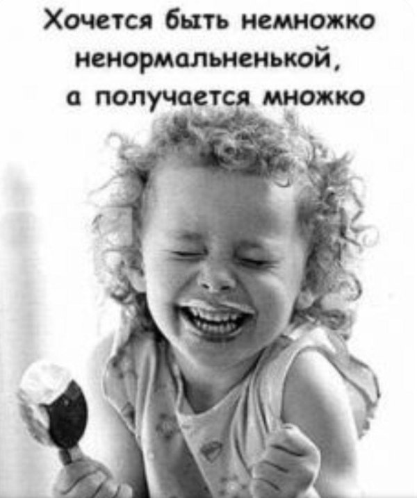 веселые высказывания