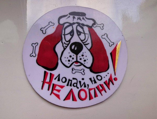 осторожно злая собака