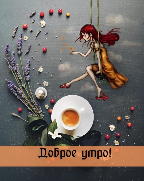 художницаиллюстратор cinzia bolognesi