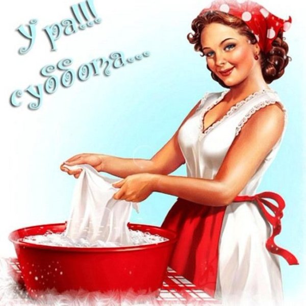 пин ап домохозяйка