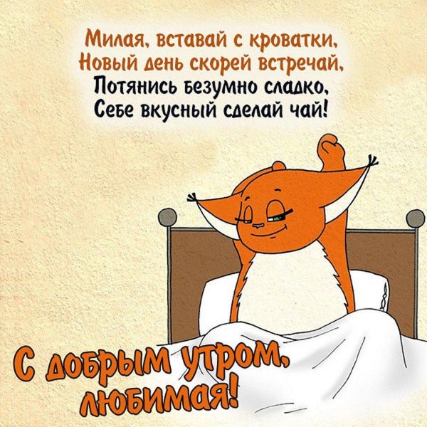 смешное пожелание с добрым утром
