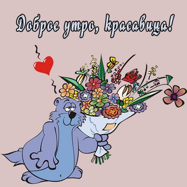 забавные открытки