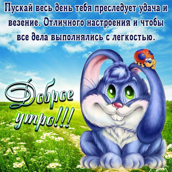 пожелание доброго утра прикольные