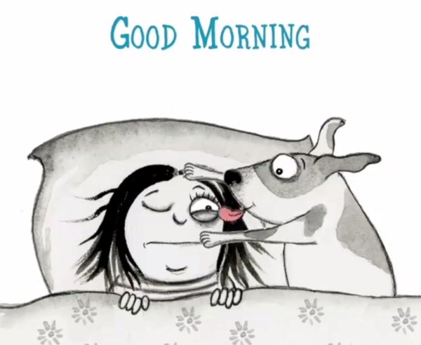 мультяшная собака