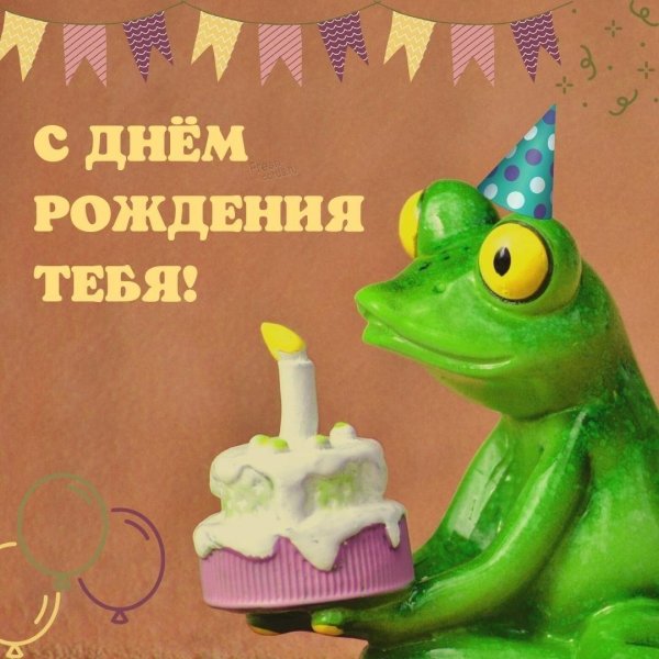 день лягушки