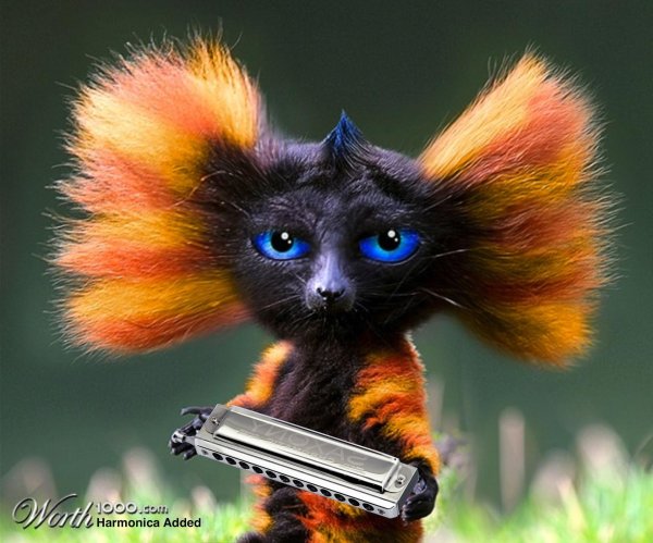 сказочное животное