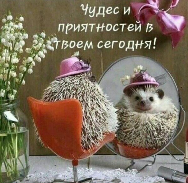 ёжики елены ерёминой