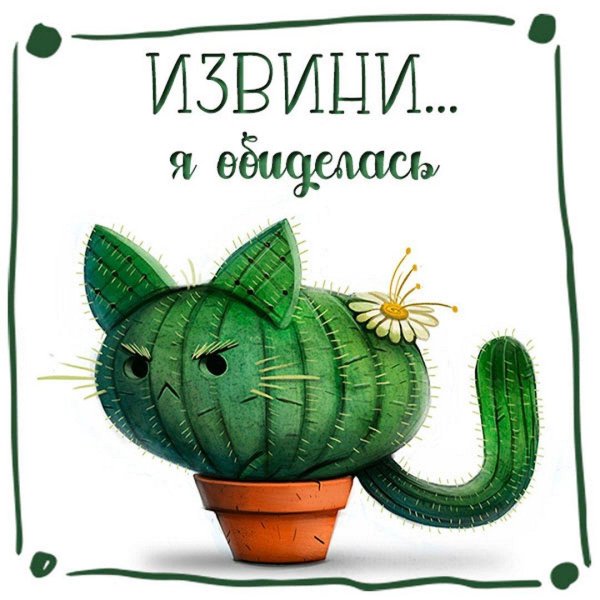 веселый кактус