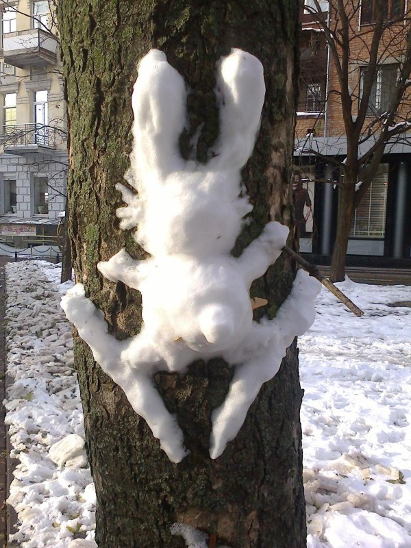 снежный заяц