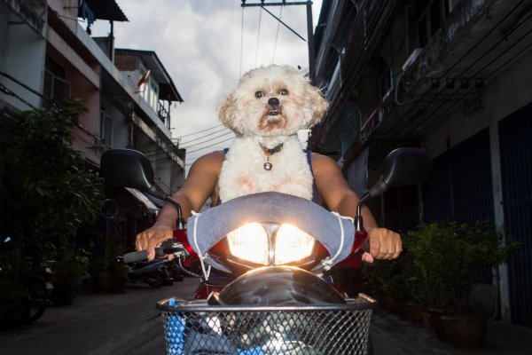 забавные фотографии