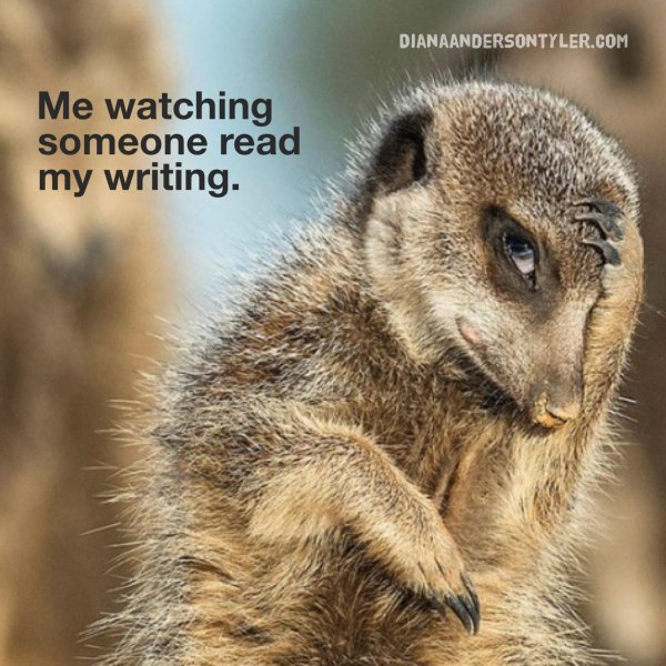 сурикаты калахари