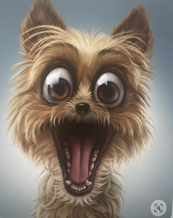 прикольная собака