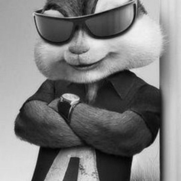 элвин из бурундуков