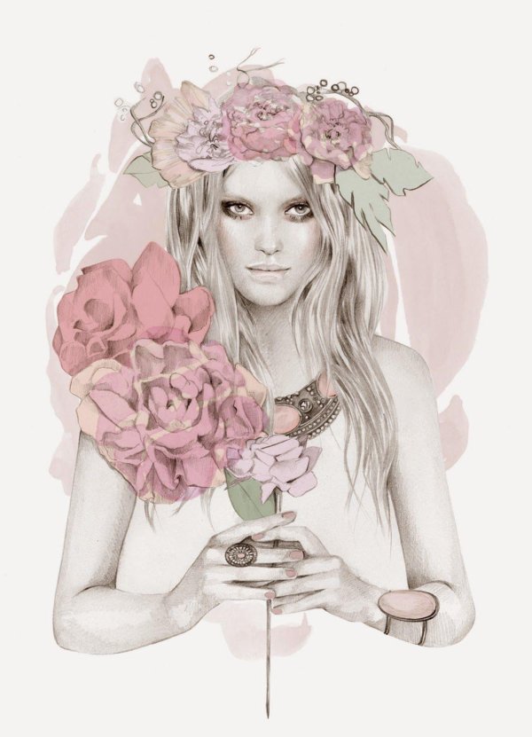 келли смит иллюстратор