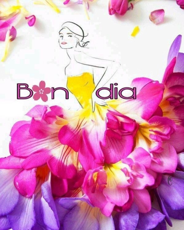 grace ciao работы