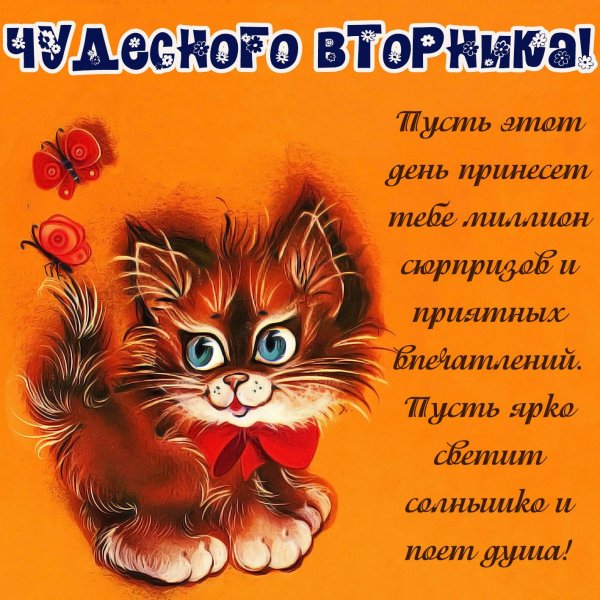 вторник утро доброе