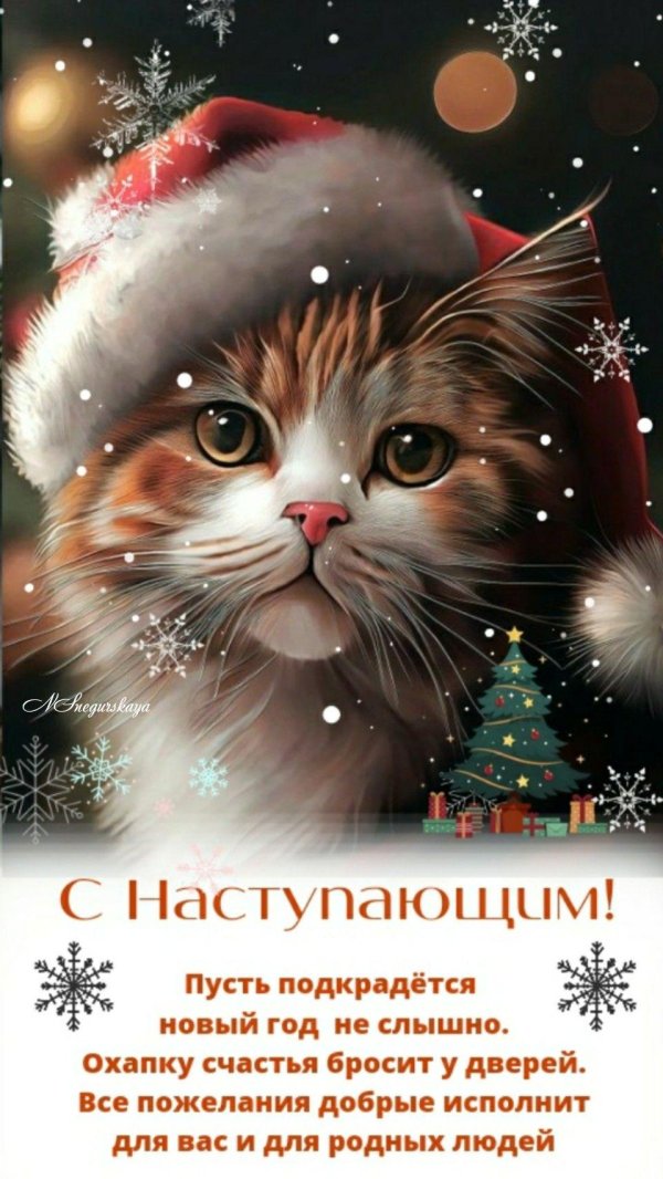котики новогодние