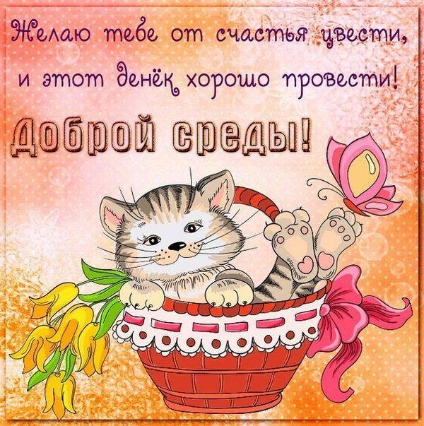 красивые поздравления со средой
