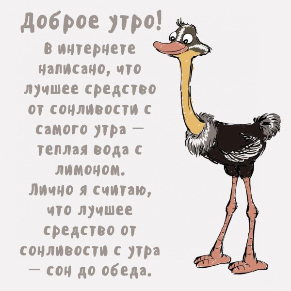 мультяшный страус