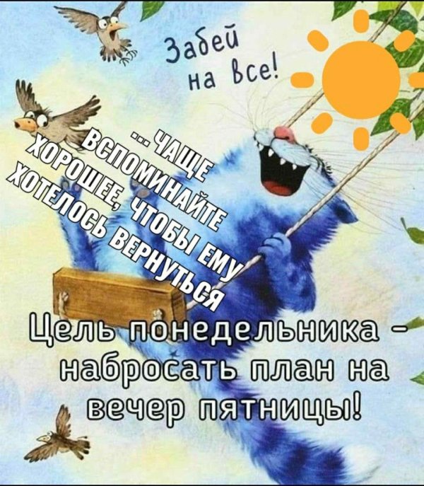 коты ирины зенюк лето