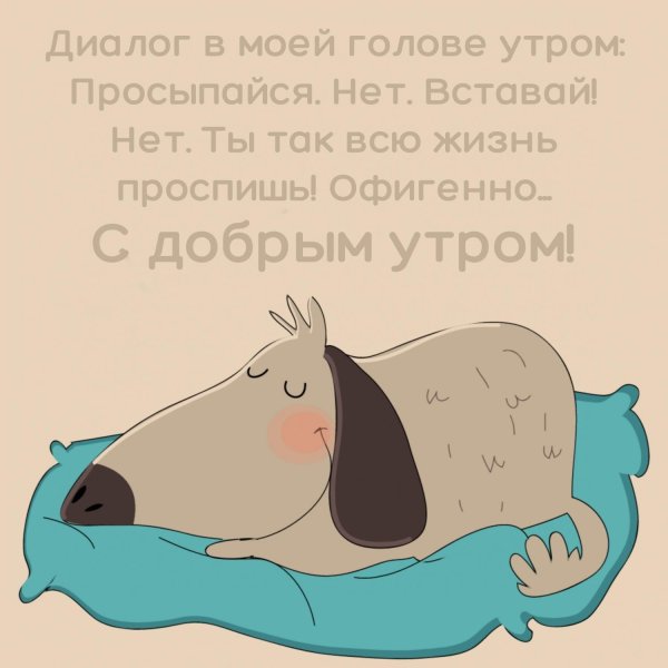 доброго утра прикольные смешные