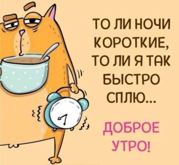 доброе утро шуточные