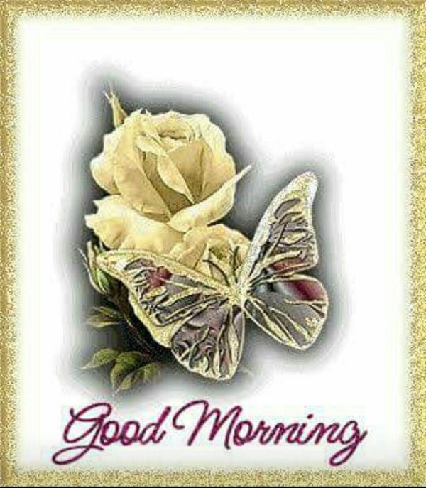 с добрым утром бабочки