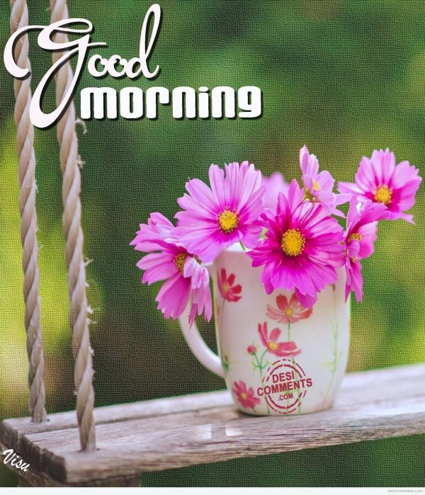 доброго утра цветы