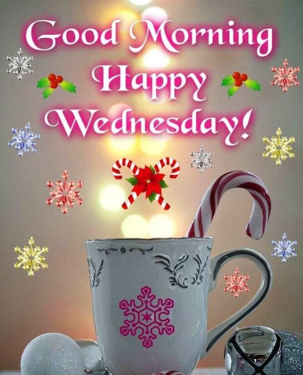 happy wednesday