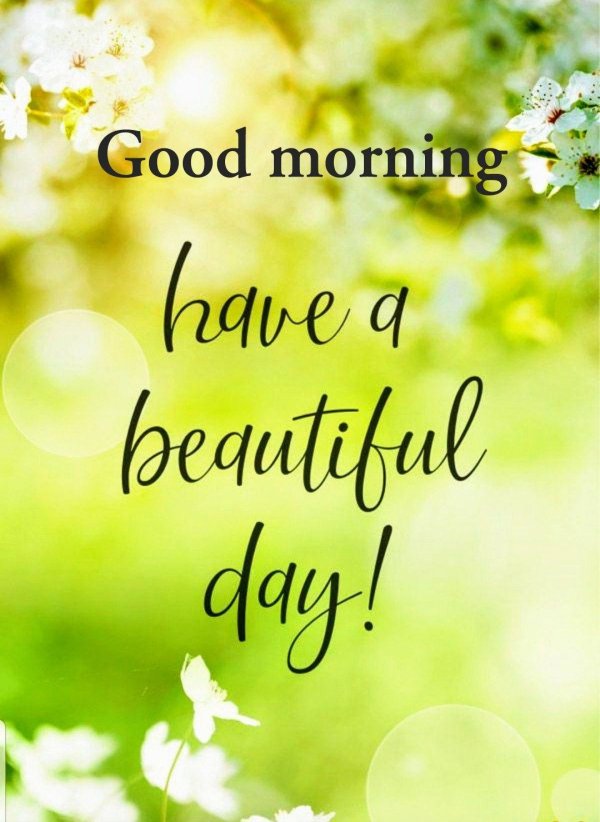 have a good day открытки